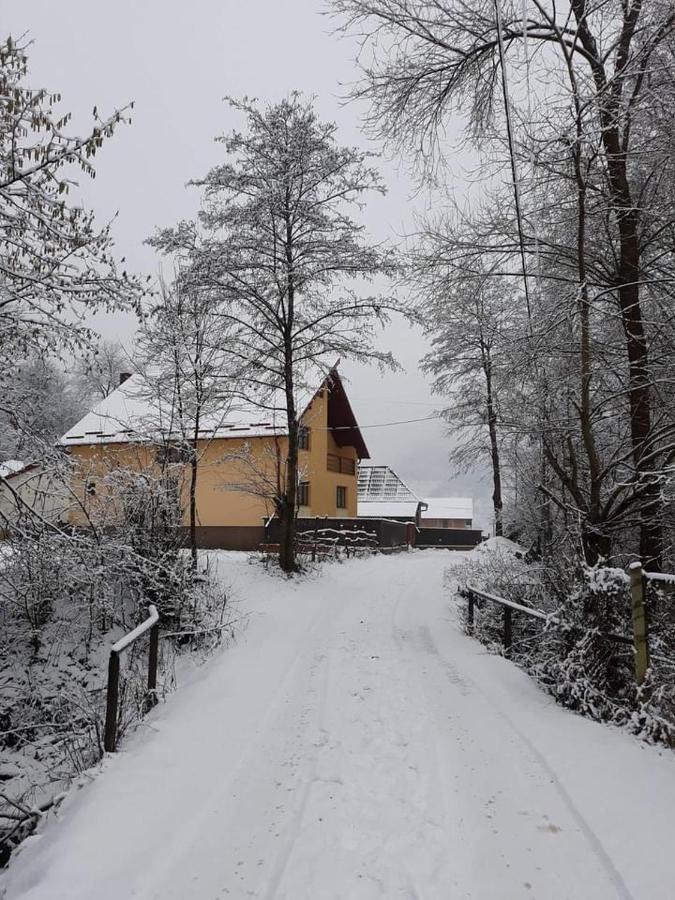 Pensiunea Malinul Lodge *