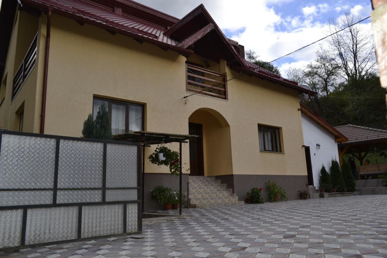 Pensiunea Malinul Birsana
