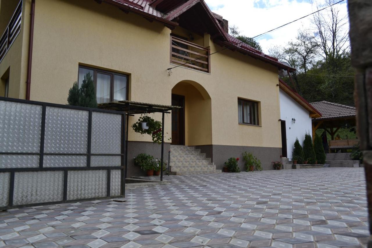 Pensiunea Malinul Lodge