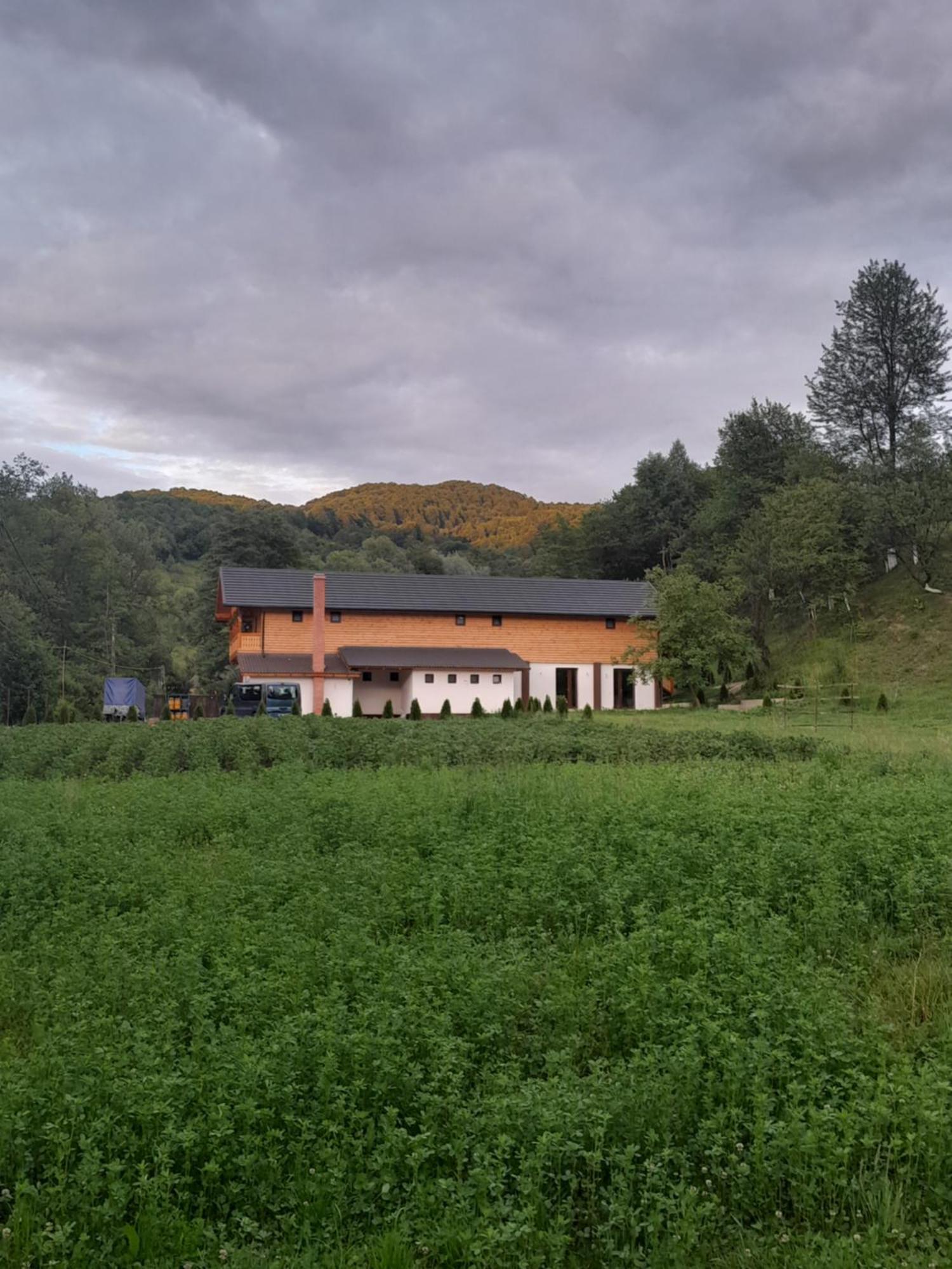 Pensiunea Malinul